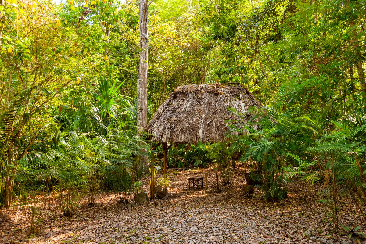 VILLA MAYA