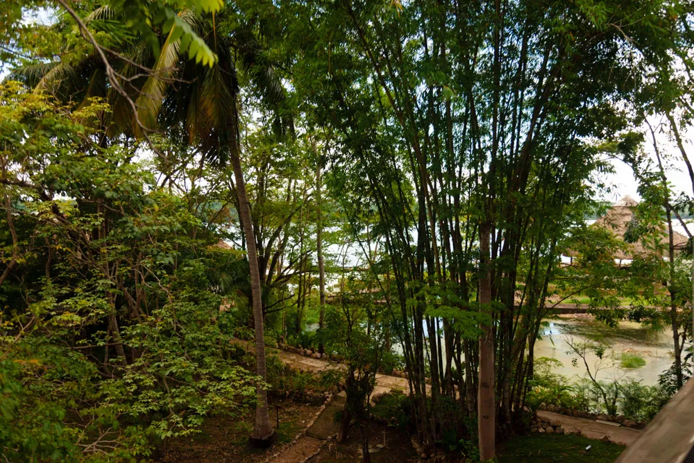 HOTEL MAYA INTERNACIONAL