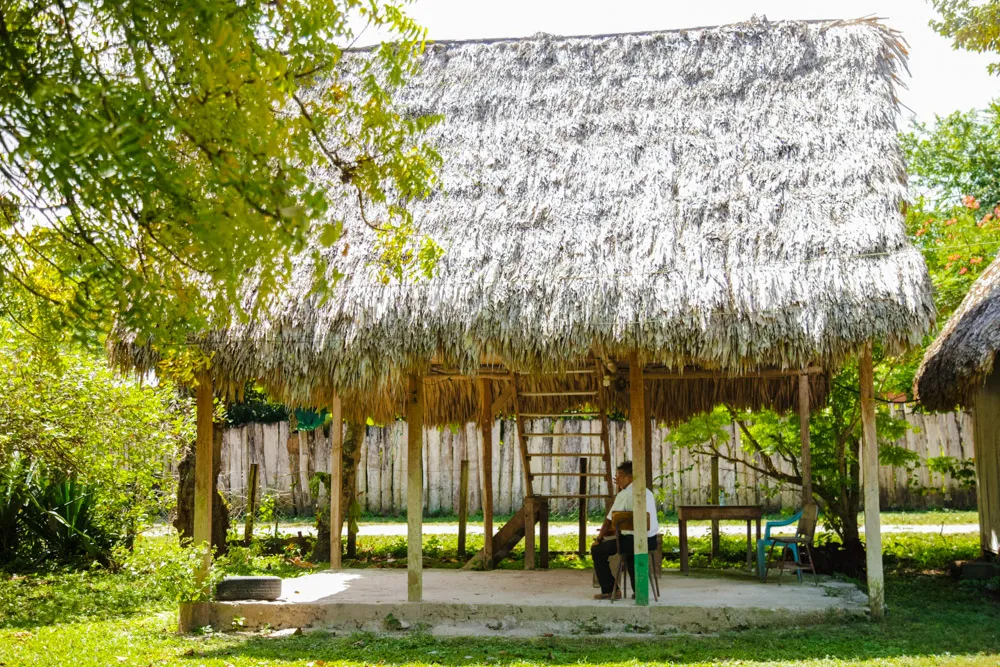 CAMPING - ÉLFIDO ALDANA